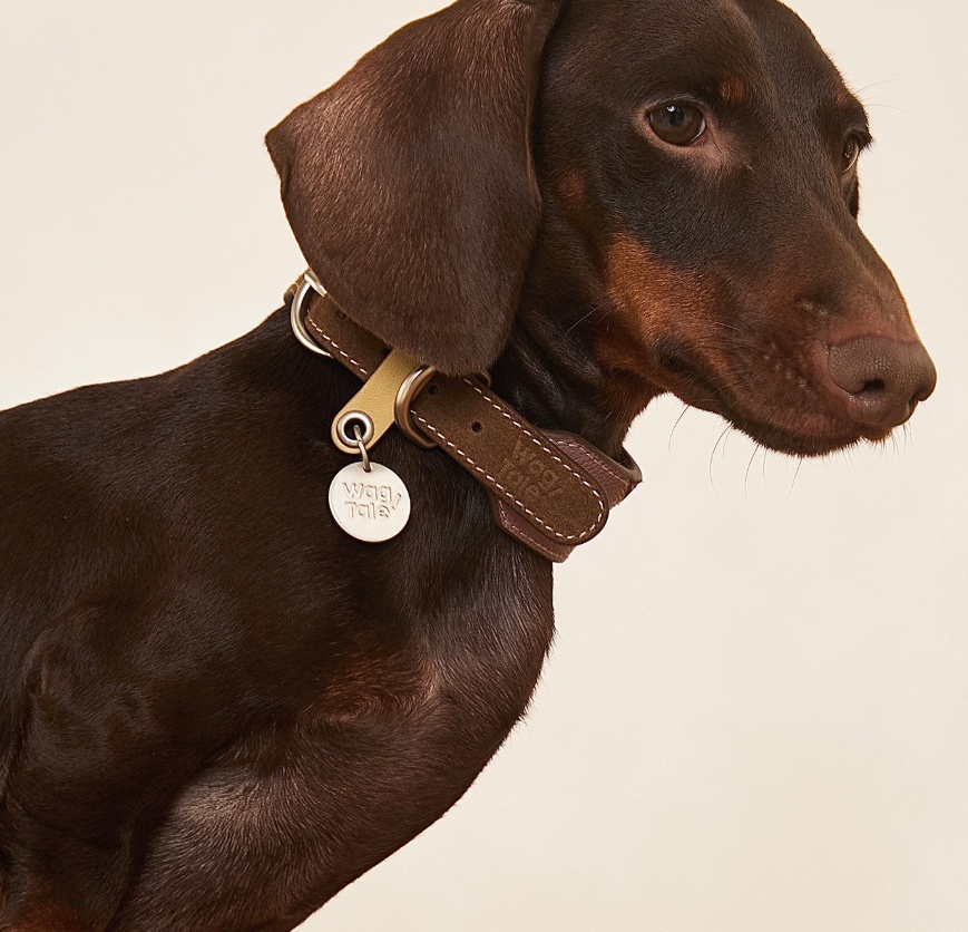 Pet Multi-color Cowhide Collar Universal Fit photo 3