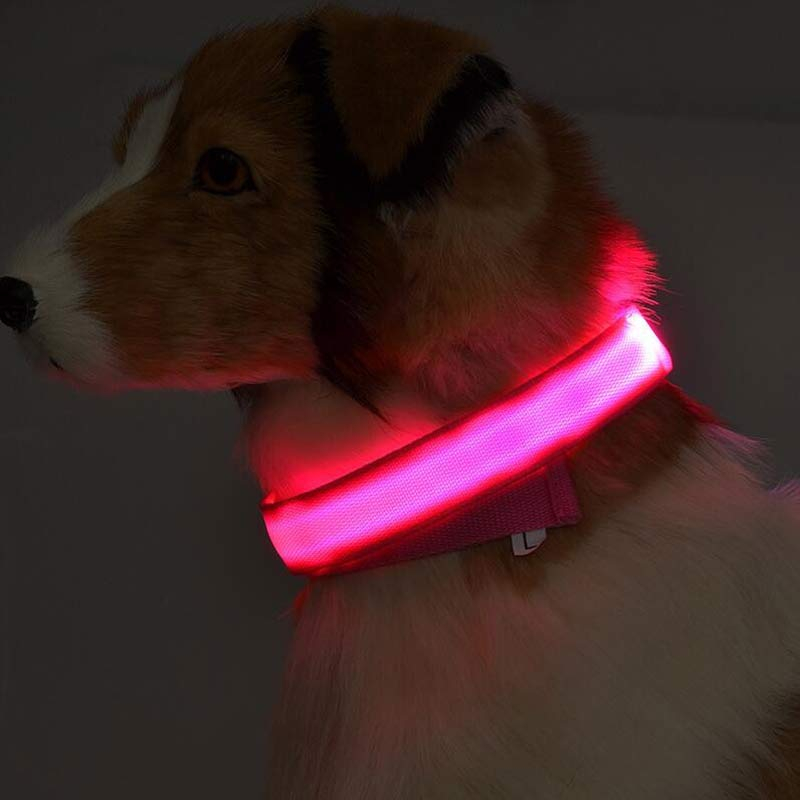 Nylon LED Pet Dog Luminous Collar Night Safety Flashing Glow In Dark Dog Cat Leash Adjustable Pet Supplies photo 6