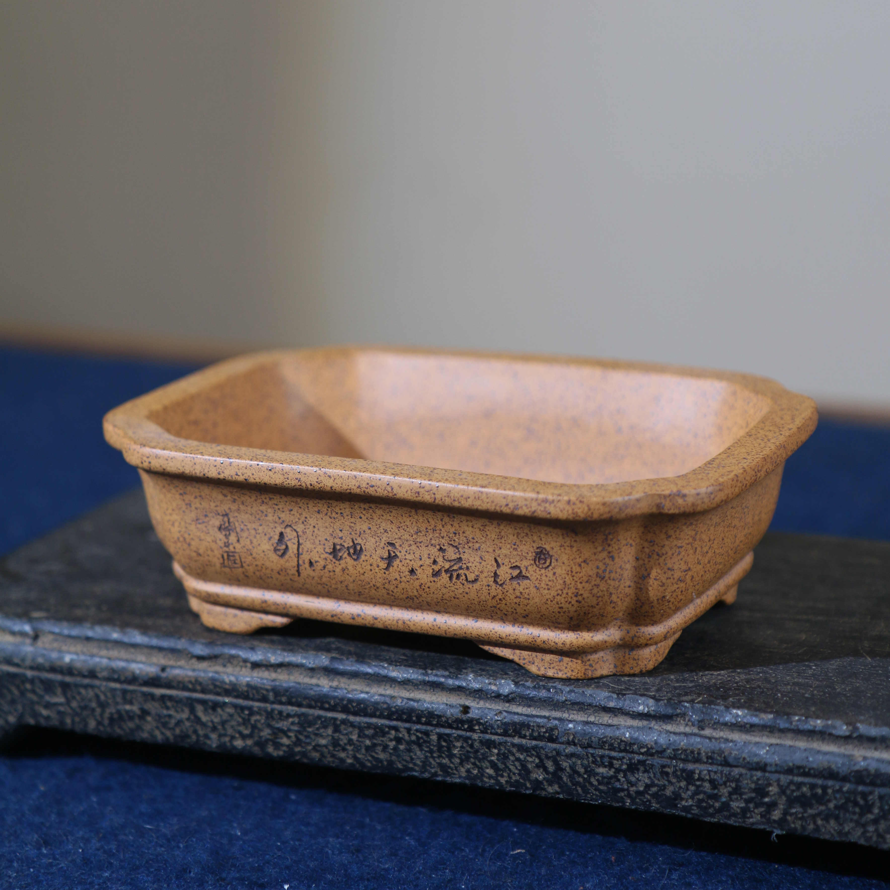 Purple Sand Flowerpot Rectangular Bonsai photo 1