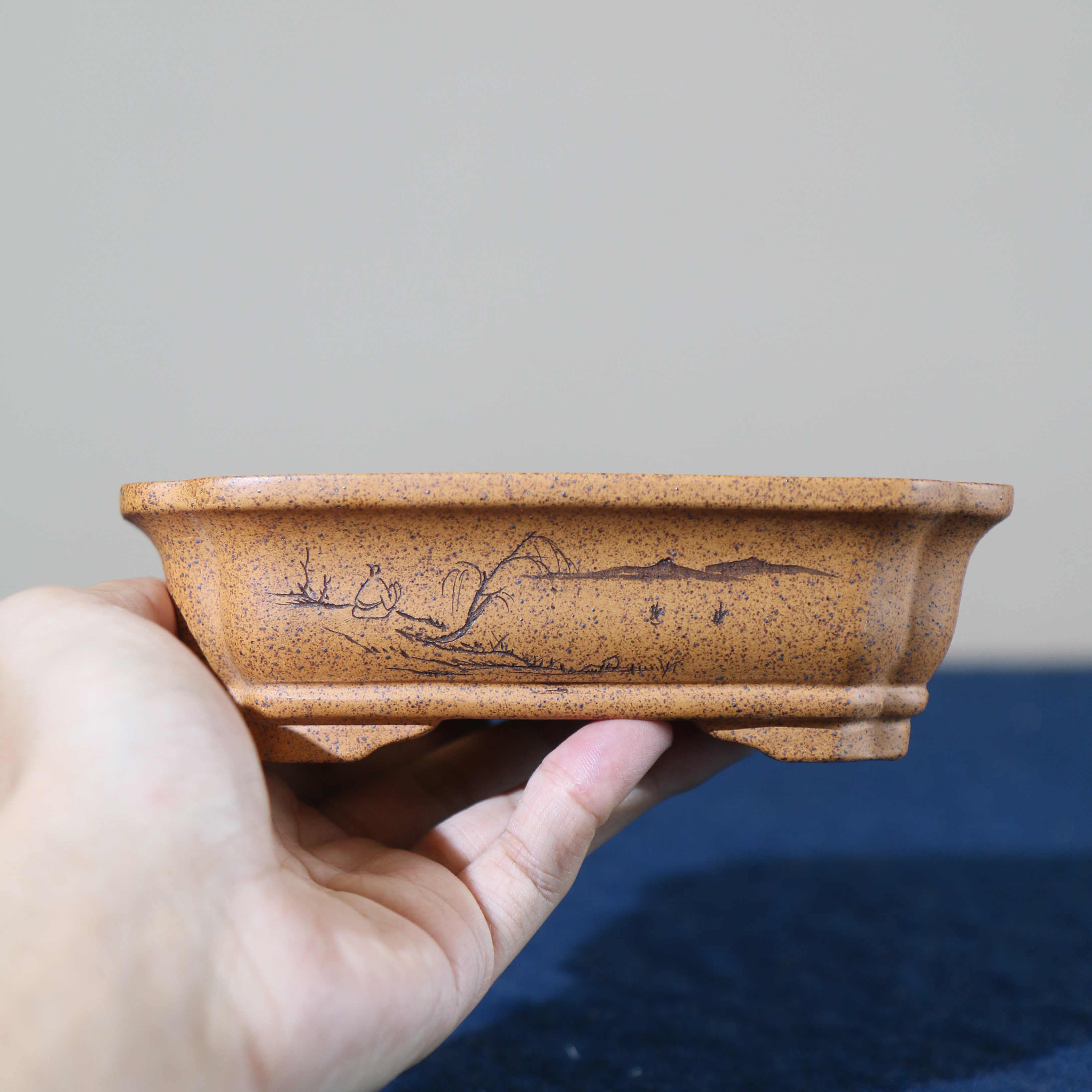 Purple Sand Flowerpot Rectangular Bonsai photo 6